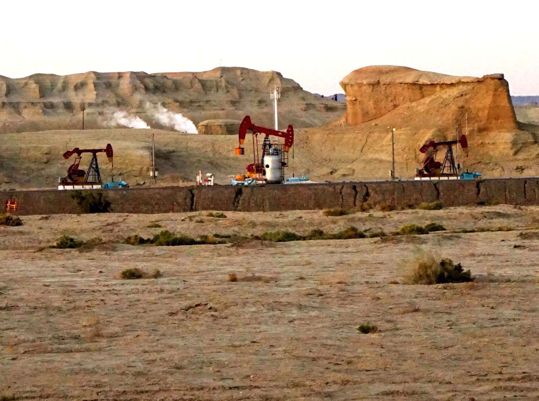 新疆克拉玛依石油展_克拉玛依石油人才网_石油克拉玛依龙